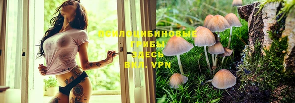 кокаин премиум Алзамай