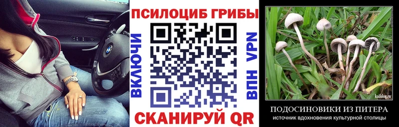 Галлюциногенные грибы GOLDEN TEACHER ОМГ ОМГ зеркало Димитровград