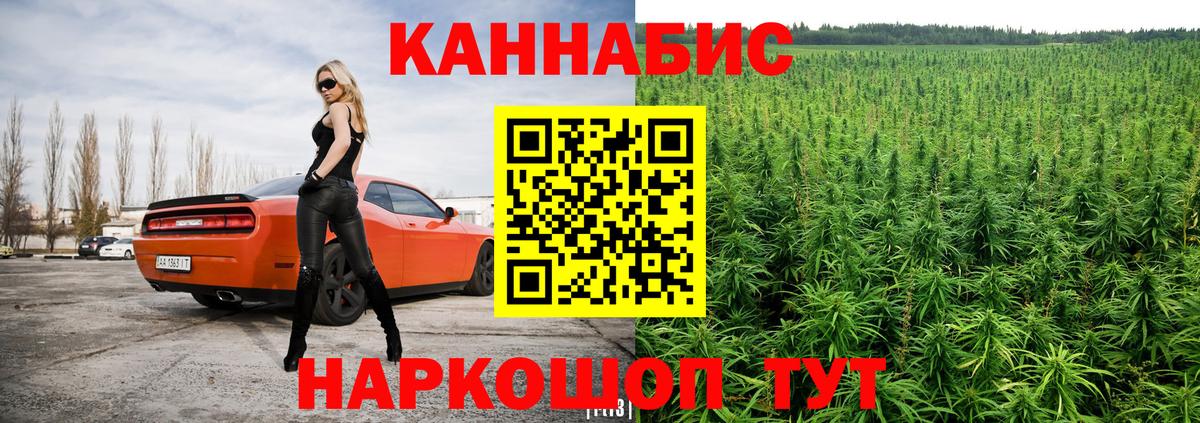 Каннабис Ganja Димитровград